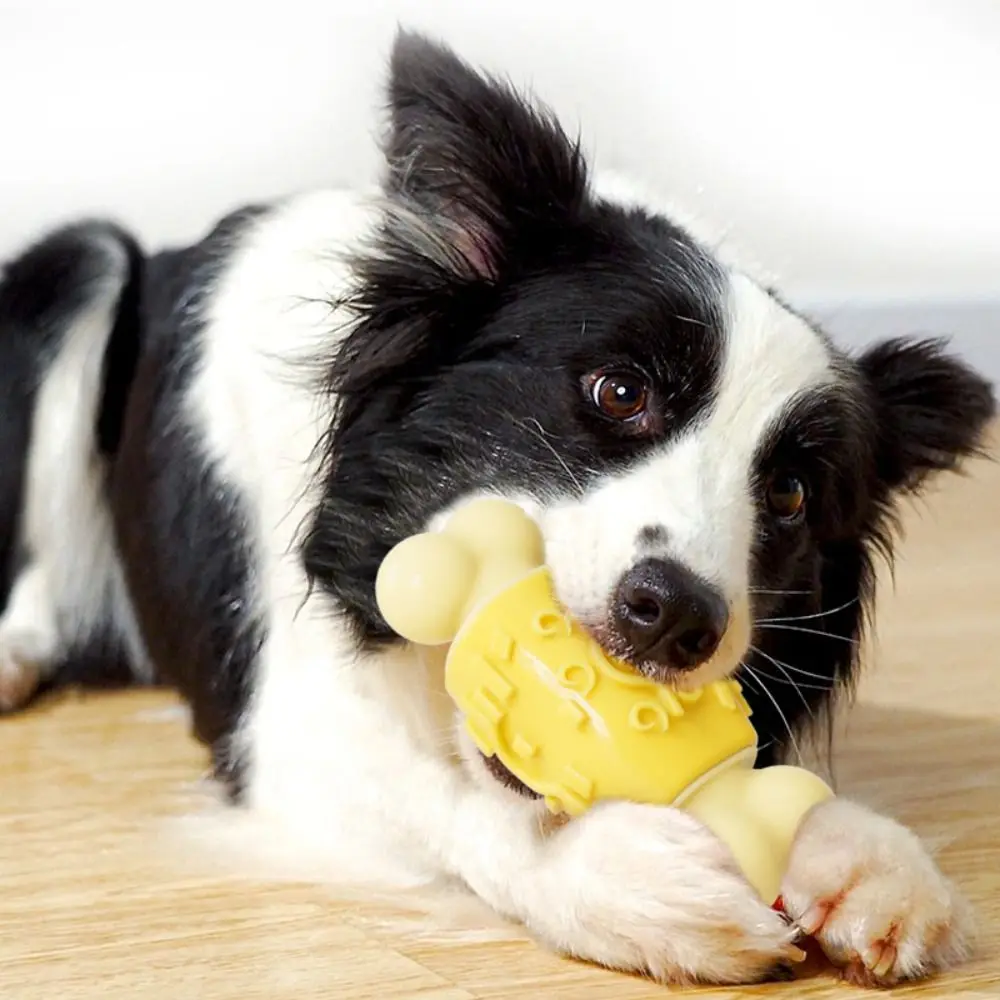 

Pet Supplies Bite-resistant Dog Chew Toy Interactive TPR Pet Sound Making Toy Wear-resistant Pet Training Toy Grinding Teeth