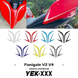 Fairing kabuk arka kuyruk Sticker çıkartması hatları yansıtıcı Metal için Ducati Ducati Streetfighter V4 V2 V4R V4S V4SP