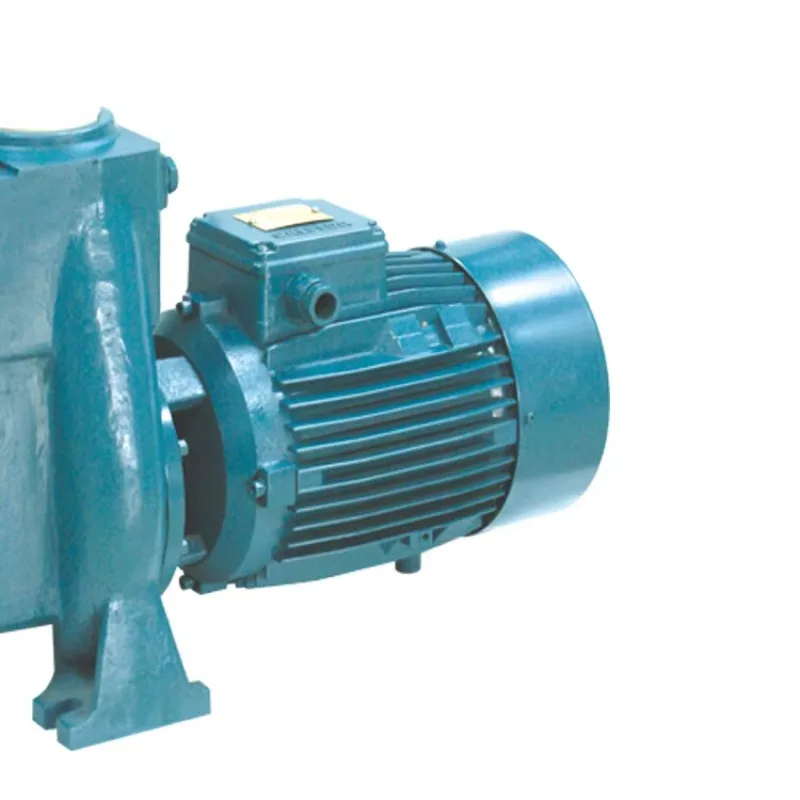 2024 PIKES Pompa Air Bahan Hebat Kolam Renang Seri RTS Filter Pompa Kolam Laju Aliran Tinggi