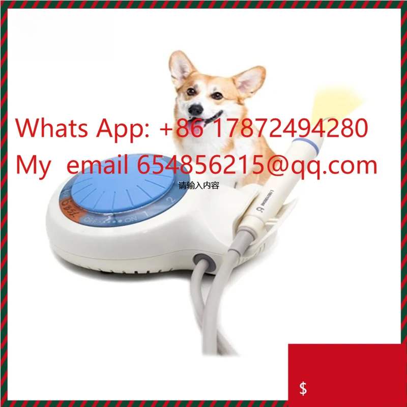 【Best-selling】Baolai B5L Veterinary Ultrasonic Scaler With Light For Dog
