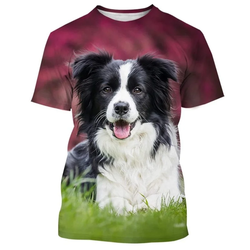 Border Collie 3D Printed T-shirt For Men Fashion Cute Animal Dog Unisex Round Neck Casual Short Sleeve Tee Shirt Clothing