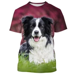 Border Collie 3D Printed T-shirt For Men Fashion Cute Animal Dog Unisex Round Neck Casual Short Sleeve Tee Shirt Clothing