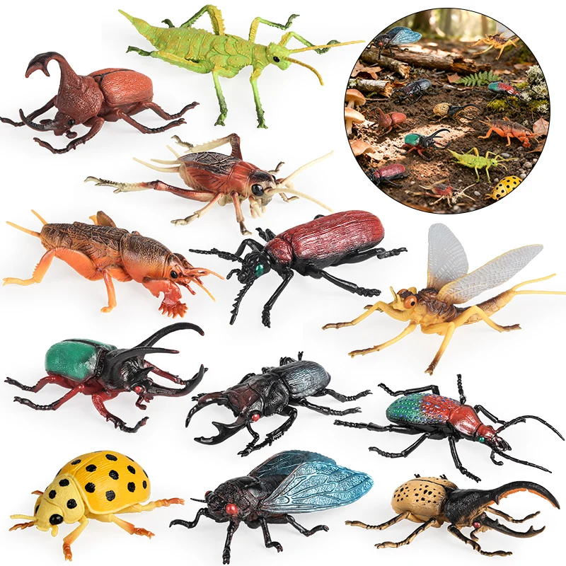 Oenux Insekt Tiere Modell Cricket Zikade Käfer Marienkäfer Action-figuren Figur Pädagogisches Kind Halloween Spielzeug Geschenk