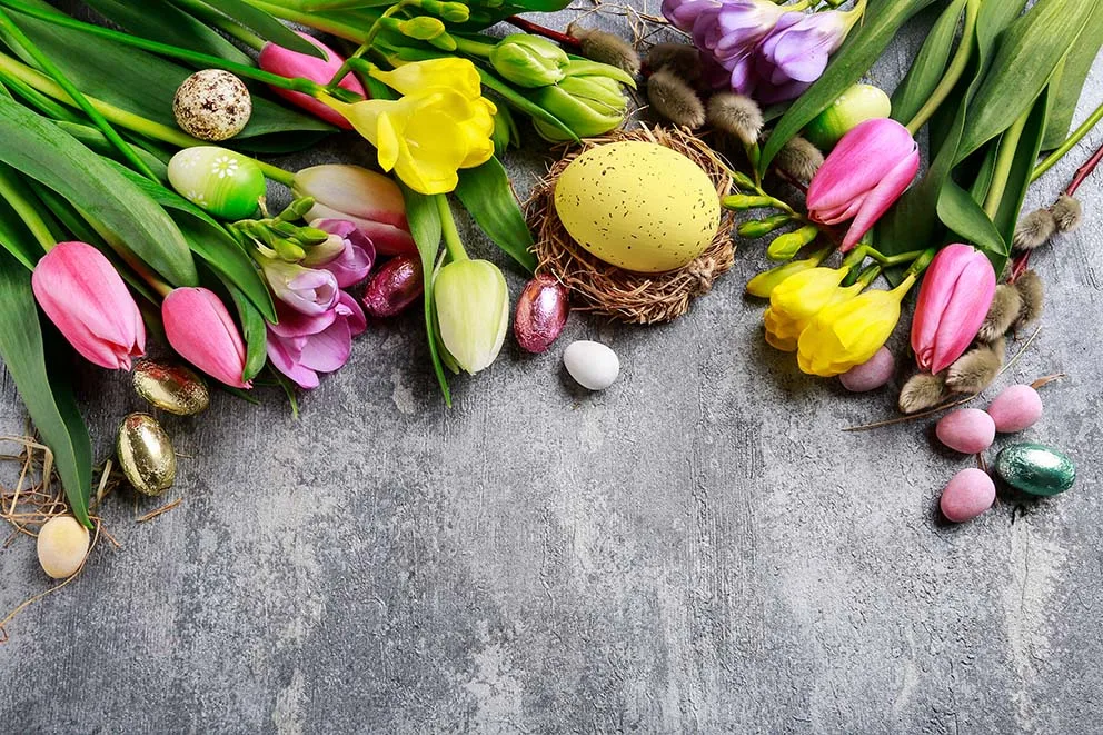 Easter Backdrop Spring Wood Floor Egg Photography Background Holiday Party Child Portrait Photo Studio Props Photozone