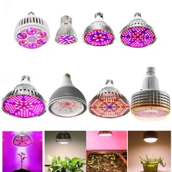 LED Grow Lights Full Spectrum 28W 50W 80W 100W 120W 150W 300W Fitolamp E27 Phytolamp for Plants Seedlings Vegs Flowers