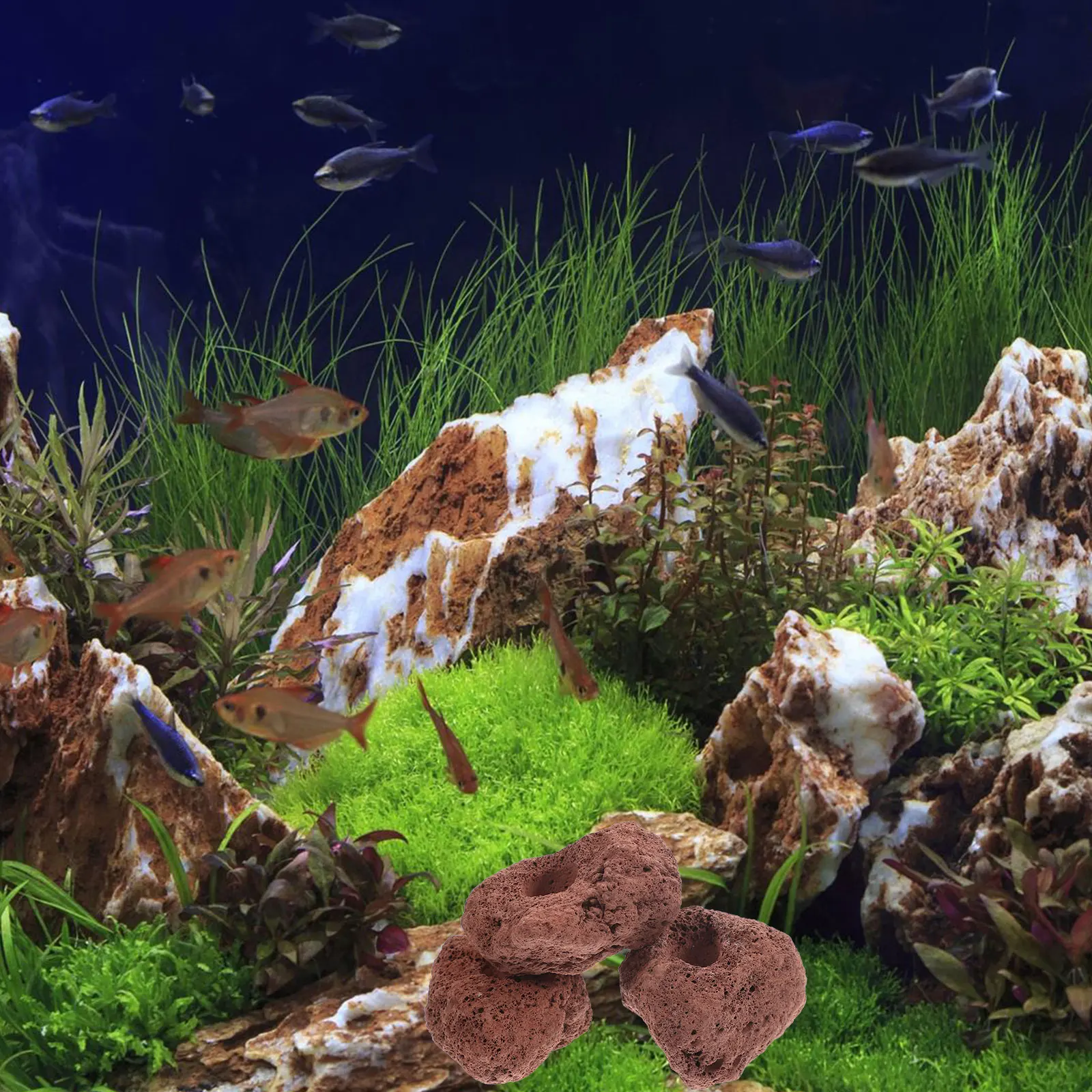 

3Pcs Ceramic Volcanic Rocks Aquarium Plant Fixing Rings Aquatic Plant Holders Fish Tank Supplies Natural Scenery