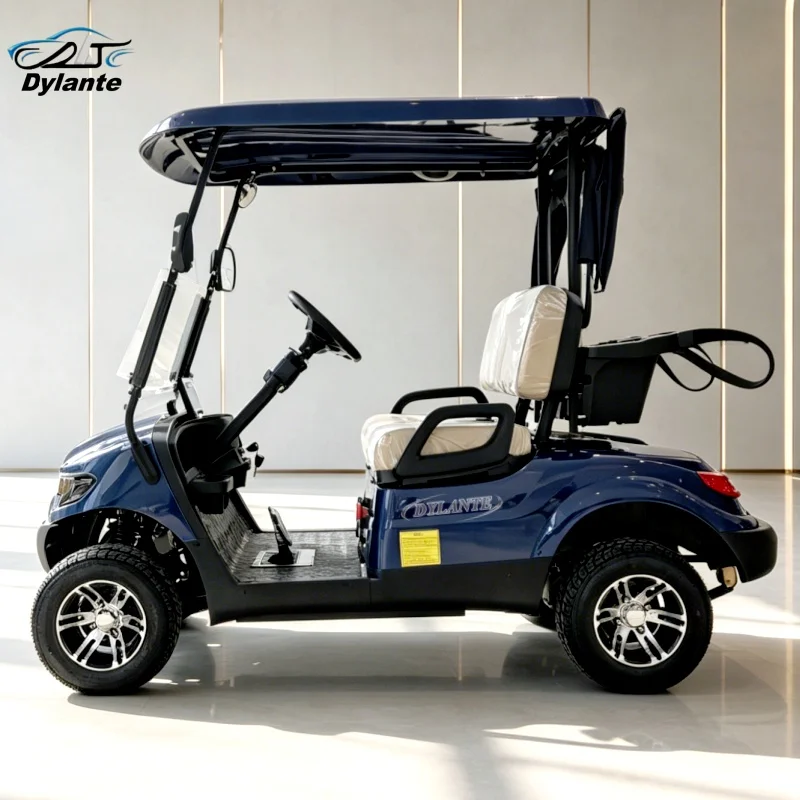 Dylante Elegant Design High Quality 2 4 6  Seater Golf Cart Resort Golf Course Premium Electric Golf Cart With CE Certification