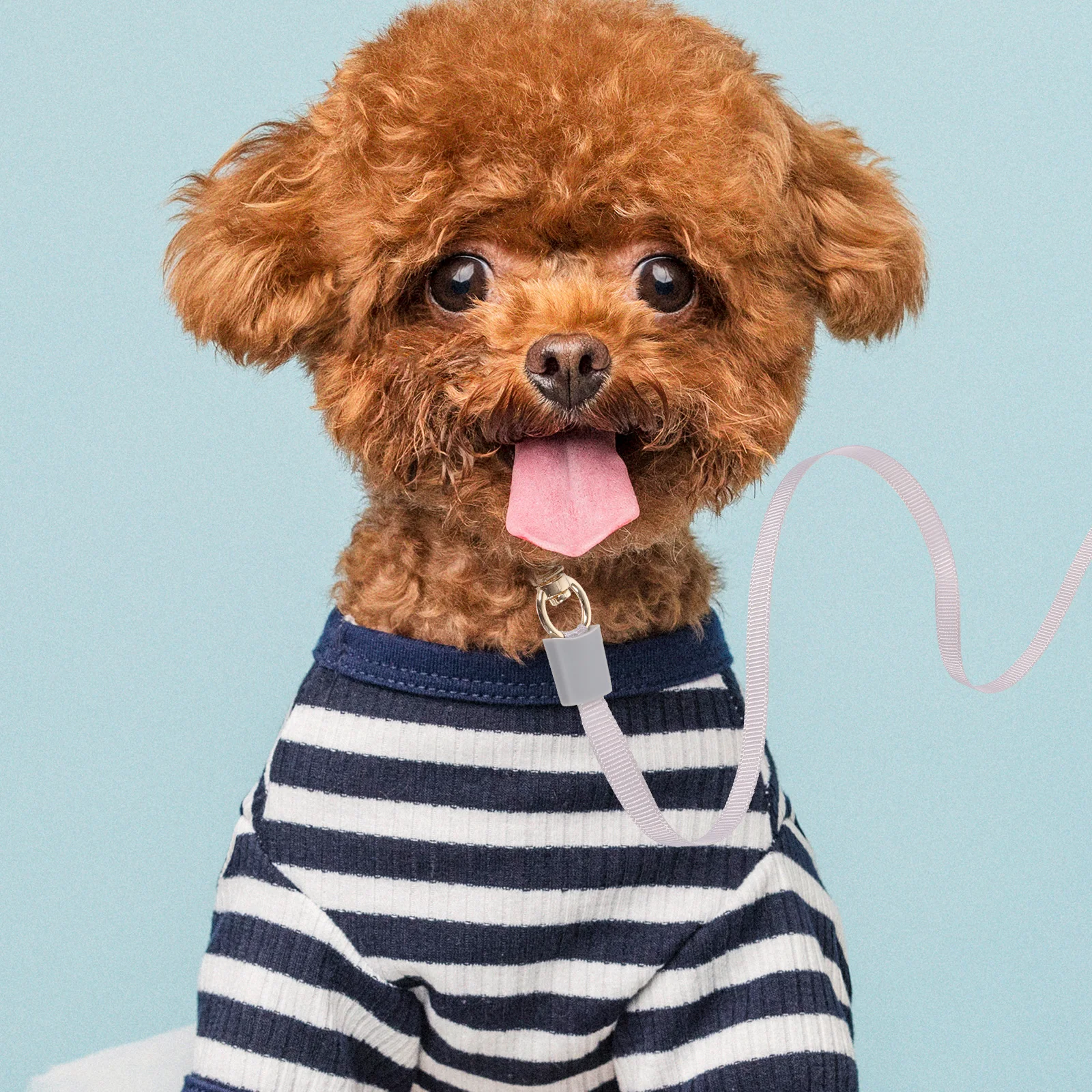 

Small Dog Traction Rope Leash Mini Retractable Puppy Leading Automatic Telescopic