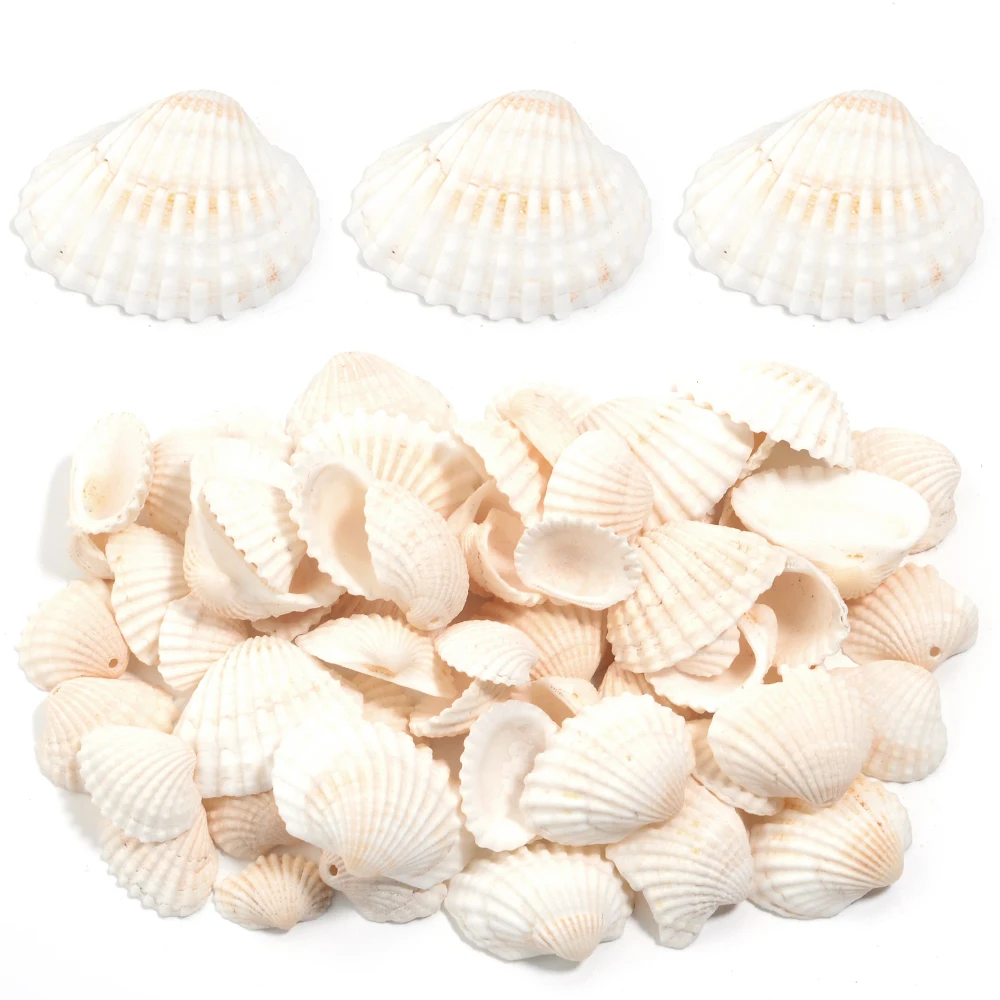 

40g White Perforated Shell Beads Natural Snow Shell Spacers Beads DIY Jewelry Bracelet Necklace Phone Key Bag Chain Accessories