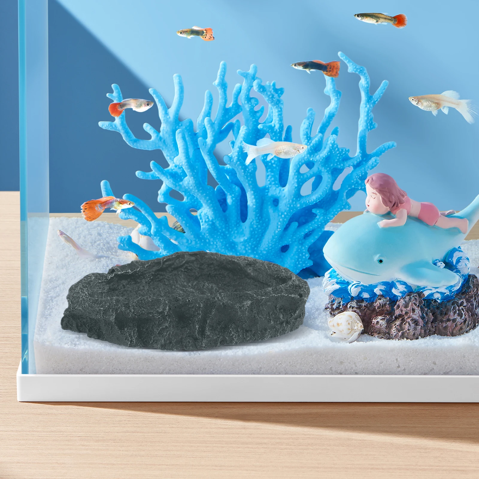 

Resin Reptile Feeder Water Dish Bowl Durable Scratch Resistant Easy Clean Pet Large Reptile Water Bowl Resin Worm Feeder Dish