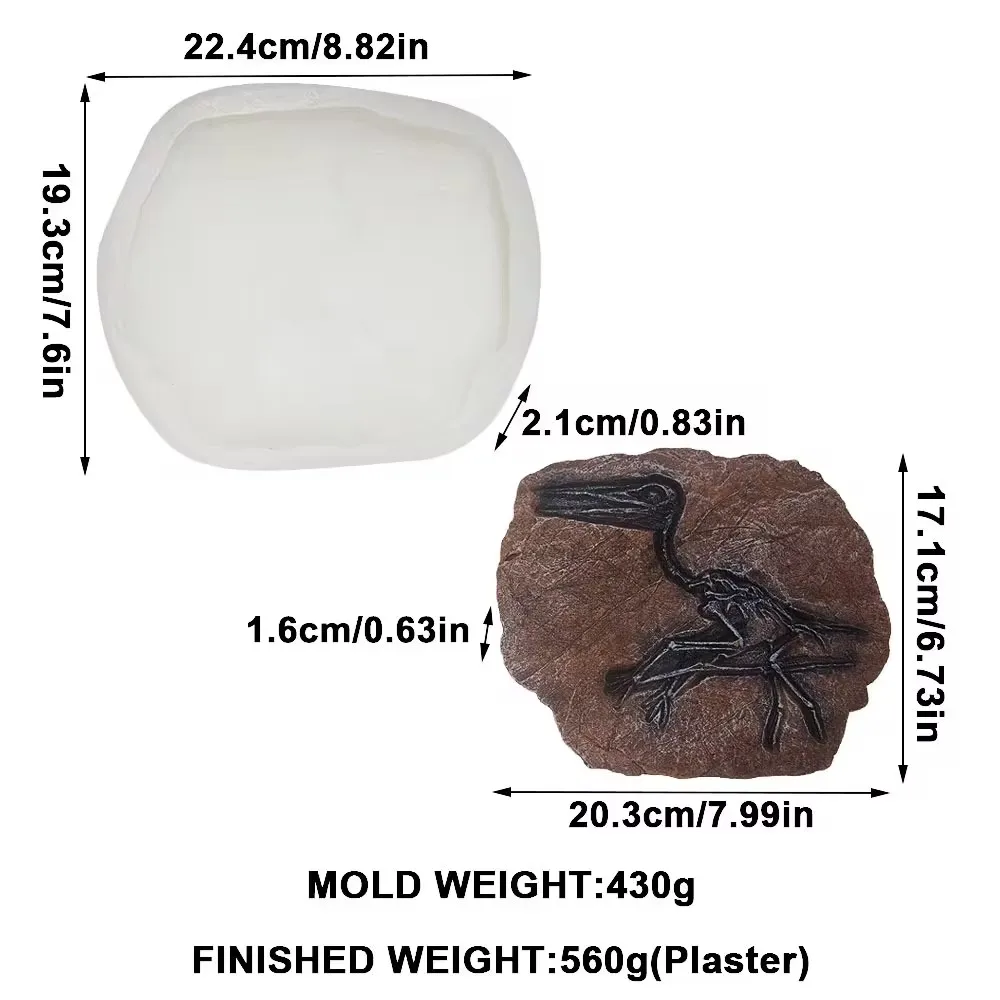 Pterosaurier-Fossilien Silikonform Handbemalte Gips-Ornamente Keramik-Backform Töpferei-Form Handwerkszeug für Heimdekoration – Detail 6