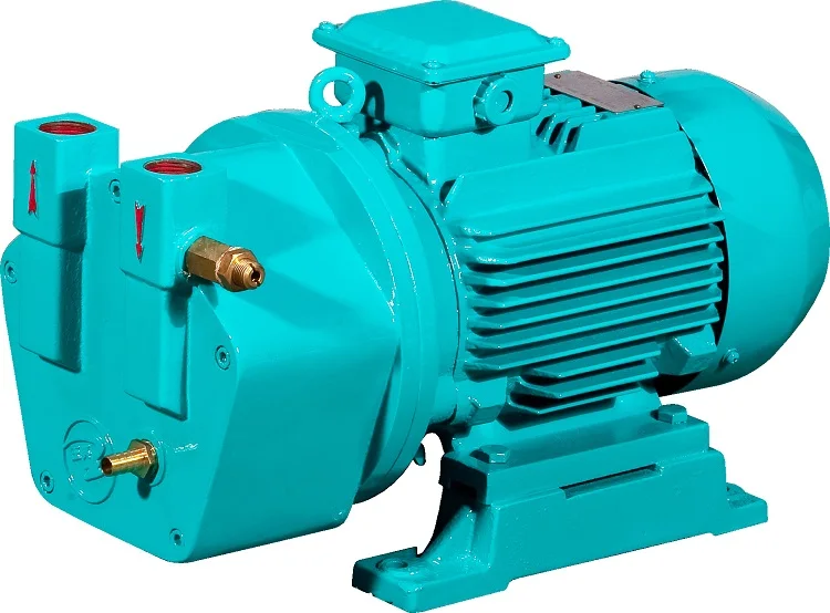 

Model SK-2 Liquid Ring Vacuum Pump