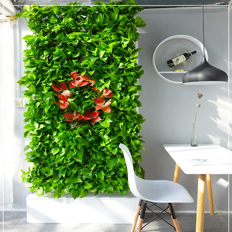 2 Metrekarelik Duvara Monte Hi - Hydroponic Kit incelemesi ve fiyatı
