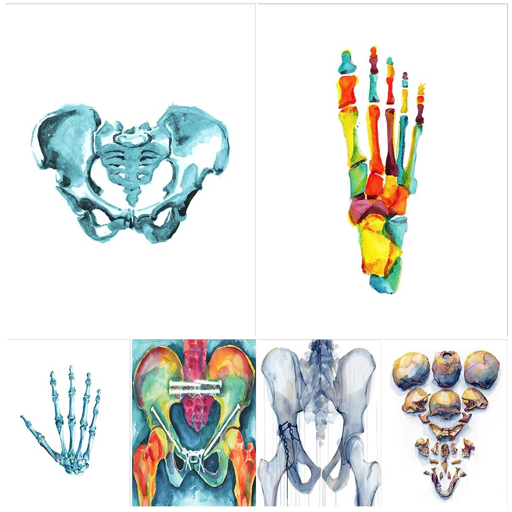 Watercolor Medicine Orthopaedics Bones Pelvis Poster Wall Art Canvas Painting Home Decor Wall Pictures For Living Room Unframed