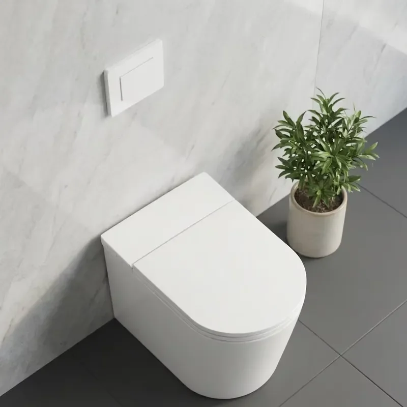 S013 Light Smart Toilet Seat Cover Intelligent Toilet Automatic Operation Porous Super Swirl Flush Smart Toilet