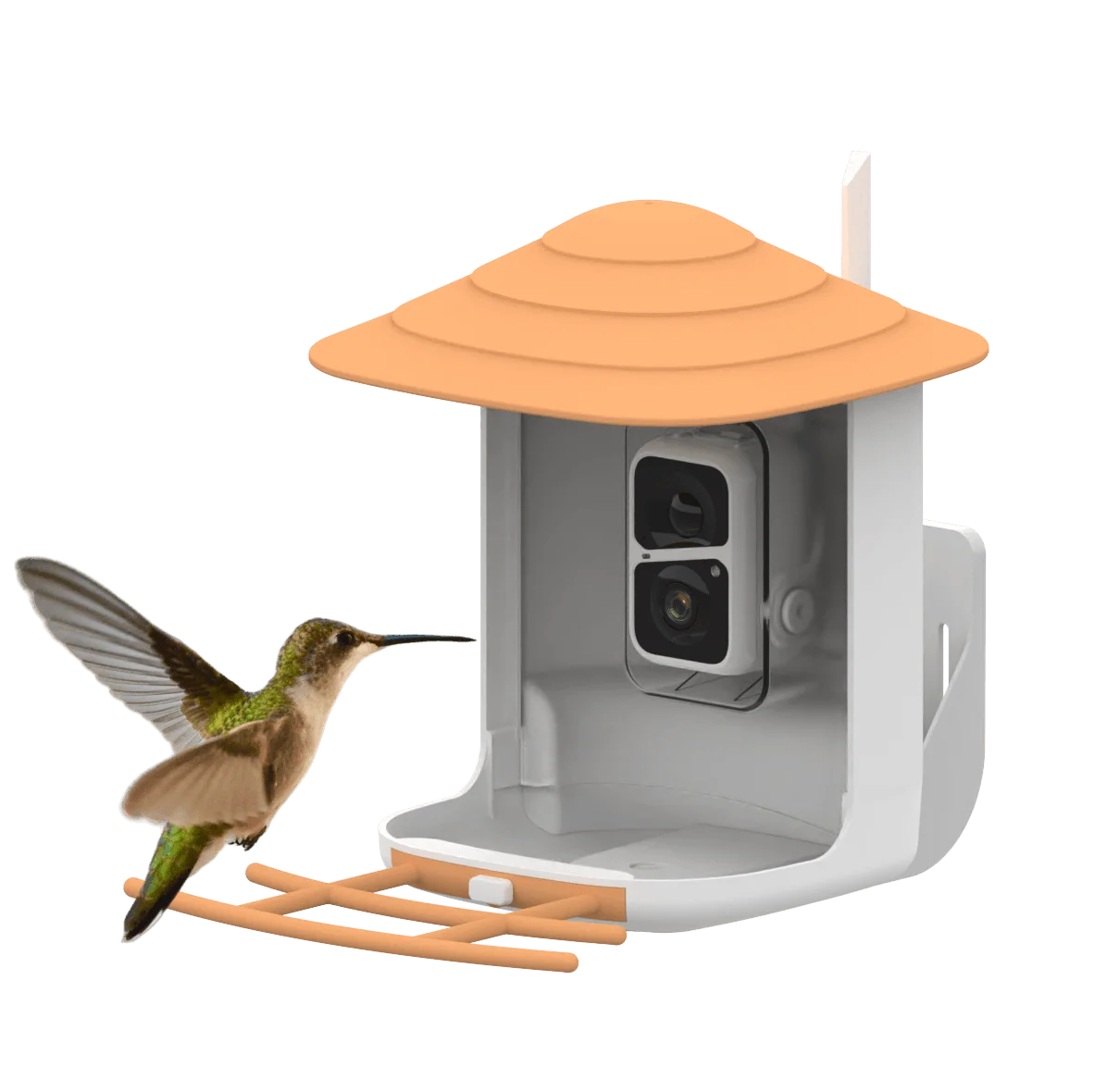 Outdoor Electronic Smart Bird Feeder With Camera