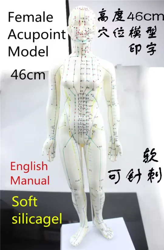 Human body meridian acupuncture point model HD Soft silicagel Acupuncture Model 46cm female with Base Acupuncture massage