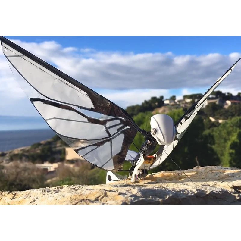 French Bionicbird Remote Control Intelligent Bionicbird Insect Flapping Wing Uav Black Technology Birthday Gift