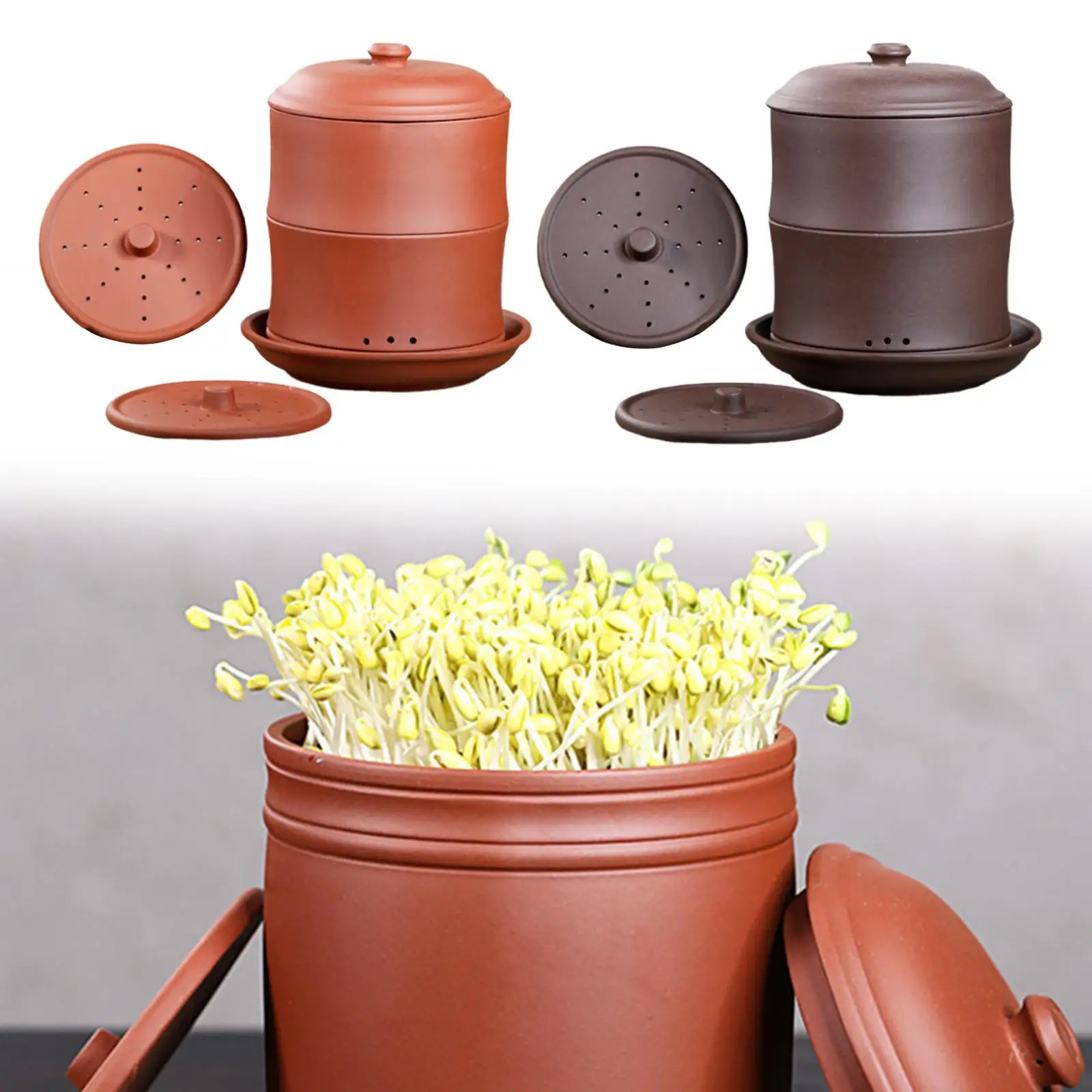 

Sprouting Jar Sprouts Growing Jar Multifunctional Seed Sprouts Tray Green Growing Tray Home Garden Supplies Germination Plate