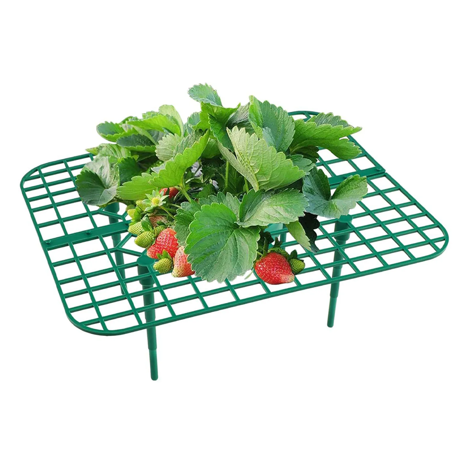 

10pcs Strawberry Supports Cultivation Frame Support Rack Growing Strawberries Square Planting Plastic Stand Garden Tools