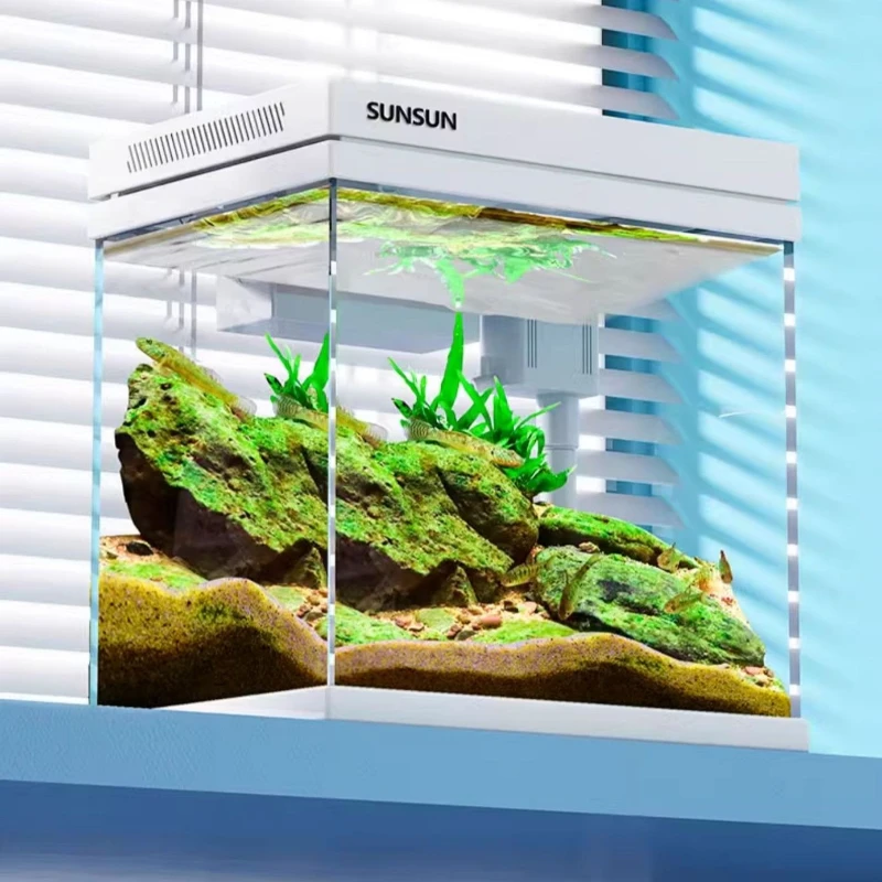 ガラス製水槽デスクトップサイクリックフィルター水槽、LEDラ - Marine Aquarium With Sump のレビューと価格