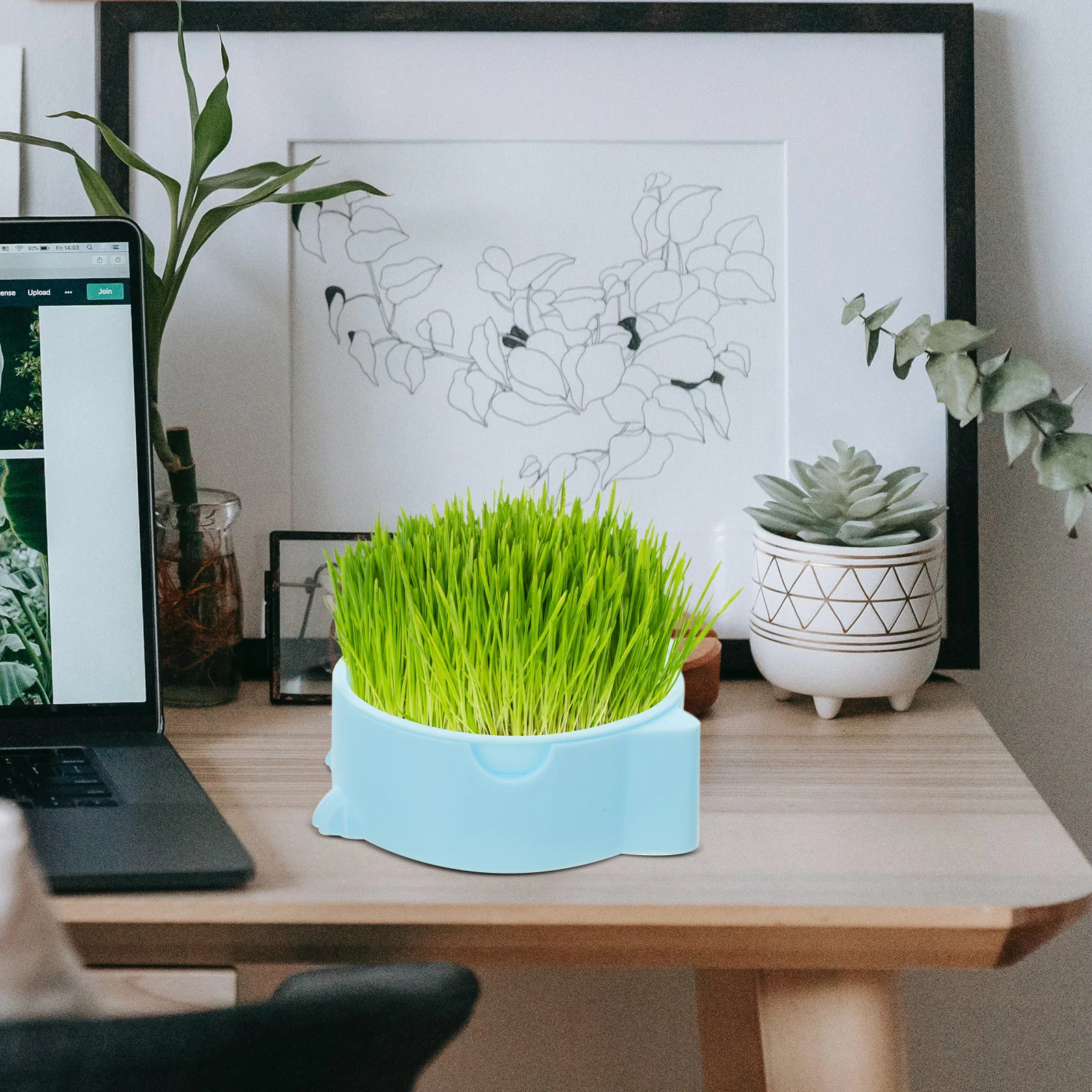 

2Pcs Cat Grass Planter Soilless Hydroponic Indoor Growing Pot Plastic Nursery Tray Desktop Cat Grass Box Hydroponics Planter