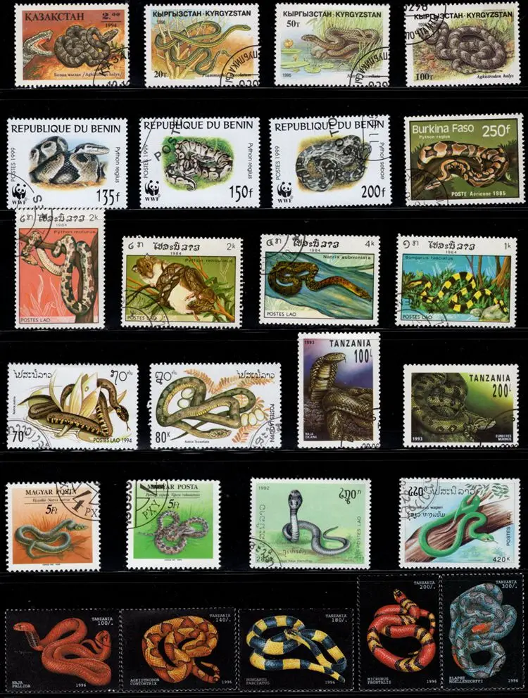 Lot 50pcs Snake Topic Original Stamps with Postage Mark No Repeat Nation Stamp Good Condition