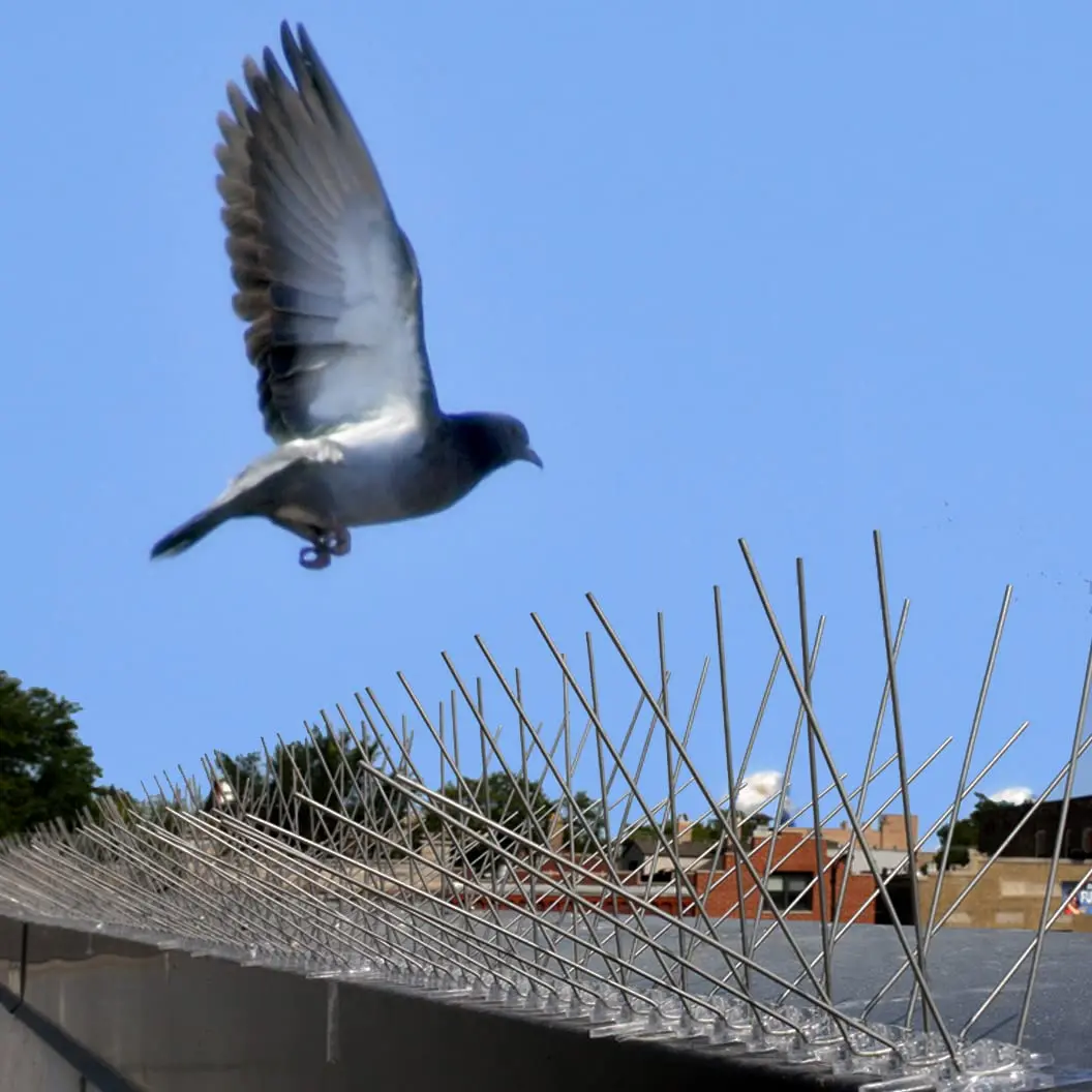 Anti Bird Spikes Stainless Steel Pigeon Repellent with Base Deterrent Bird Spikes for Roof Fence Gutter Wall Outdoor Repeller