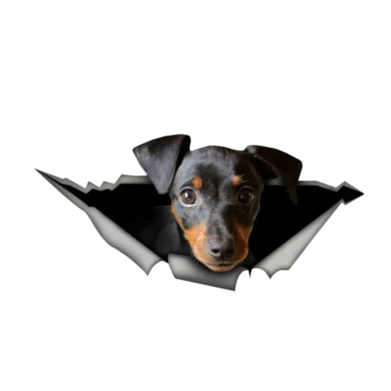 

13 см X 6 см Виниловая наклейка Pincher 3D Pet графическая наклейка для автомобиля окна ноутбука