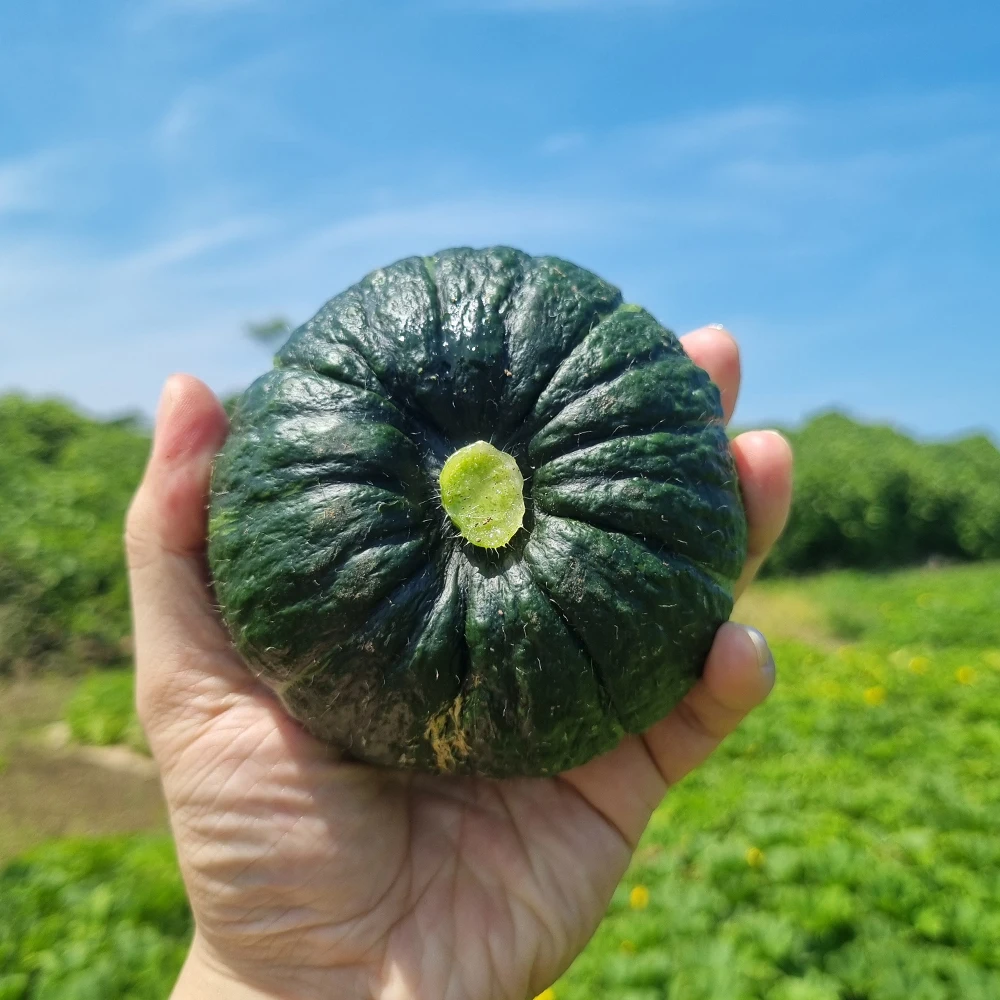 Caglio: Scopri i Prodotti e le Ricette con AliExpress