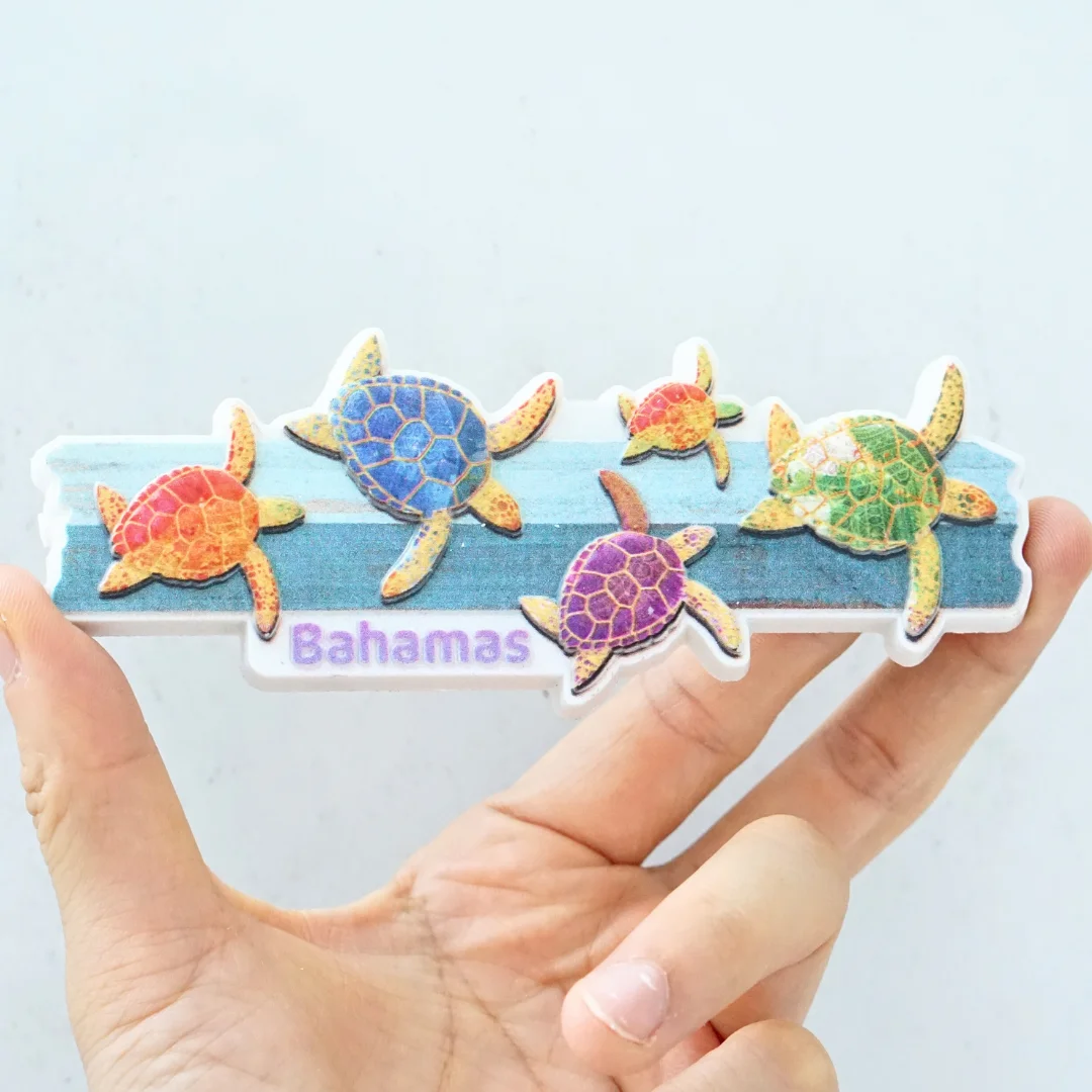 

Bahamas Fridge Magnet, Turtle Fridge Magnet, Ocean Fridge Magnet, Bahamas Tourist Souvenir, Bahamas Home Decor, Photo Fridge Mag