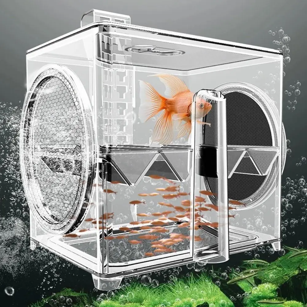 Incubadora de aislamiento de peces transparente, caja de cría de peces montada en la pared neumática con tubo de aire de 2M, incubadora suspendida de plástico Guppy