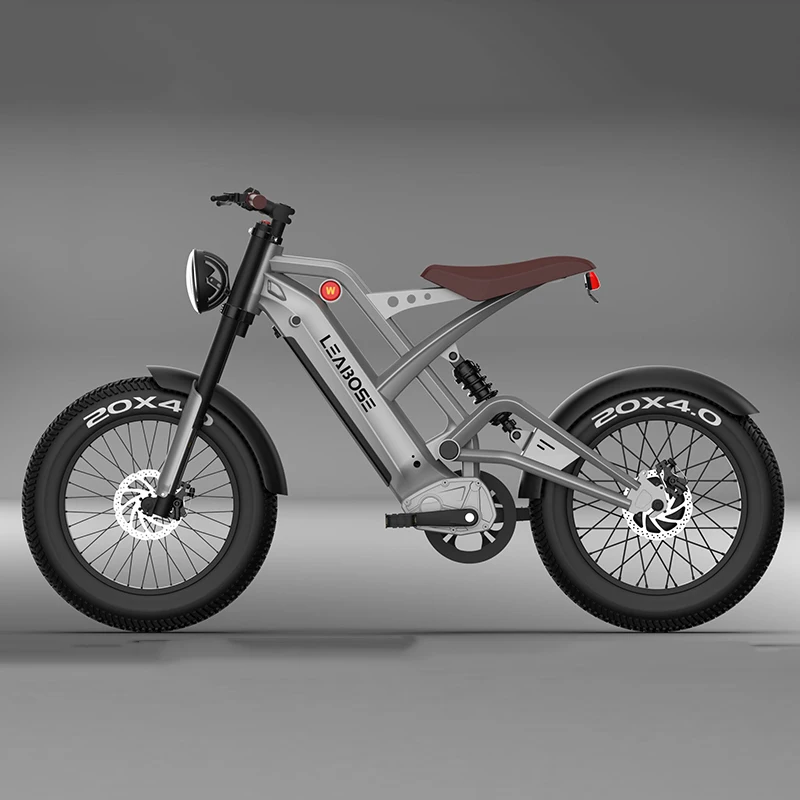 

STLF 20inch Fat Tire ELECTRIC BICYCLES 1000W 750W Fatbike Motor Electric Bike Bicycle City All Terrain E-bike