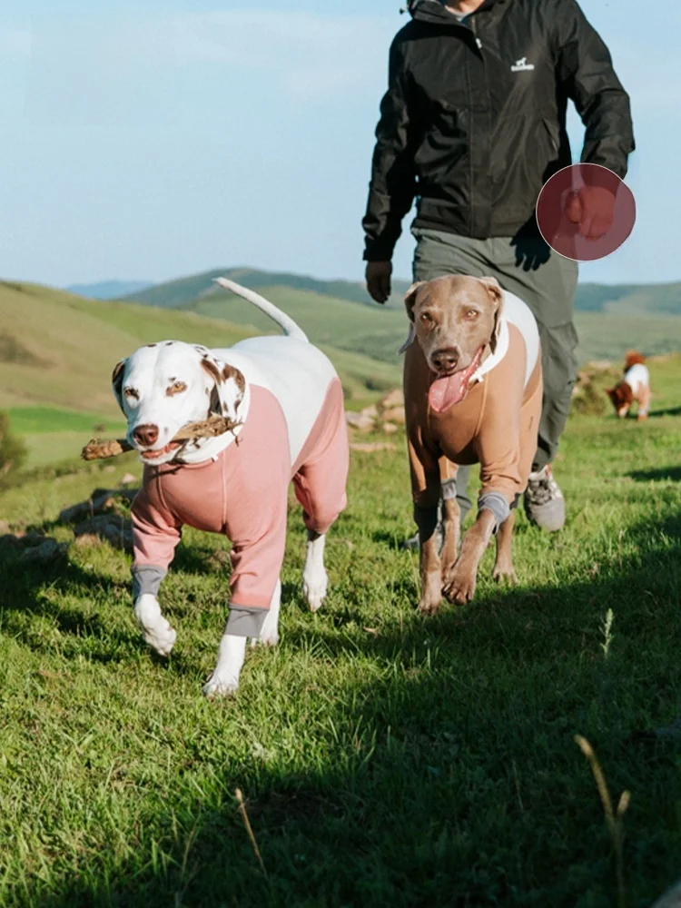 abbigliamento-invernale-per-cani-blackdoggy-tuta-protettiva-a-quattro-zampe-stile-sportivo-funzionale