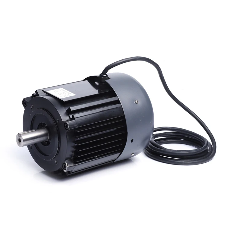 

Bldc Motor 48v Dc 1hp 2hp 3hp Brushless Electric Motor High Torque 3 Phase Coreless Permanent Magnet Dc Motor for Electric Car