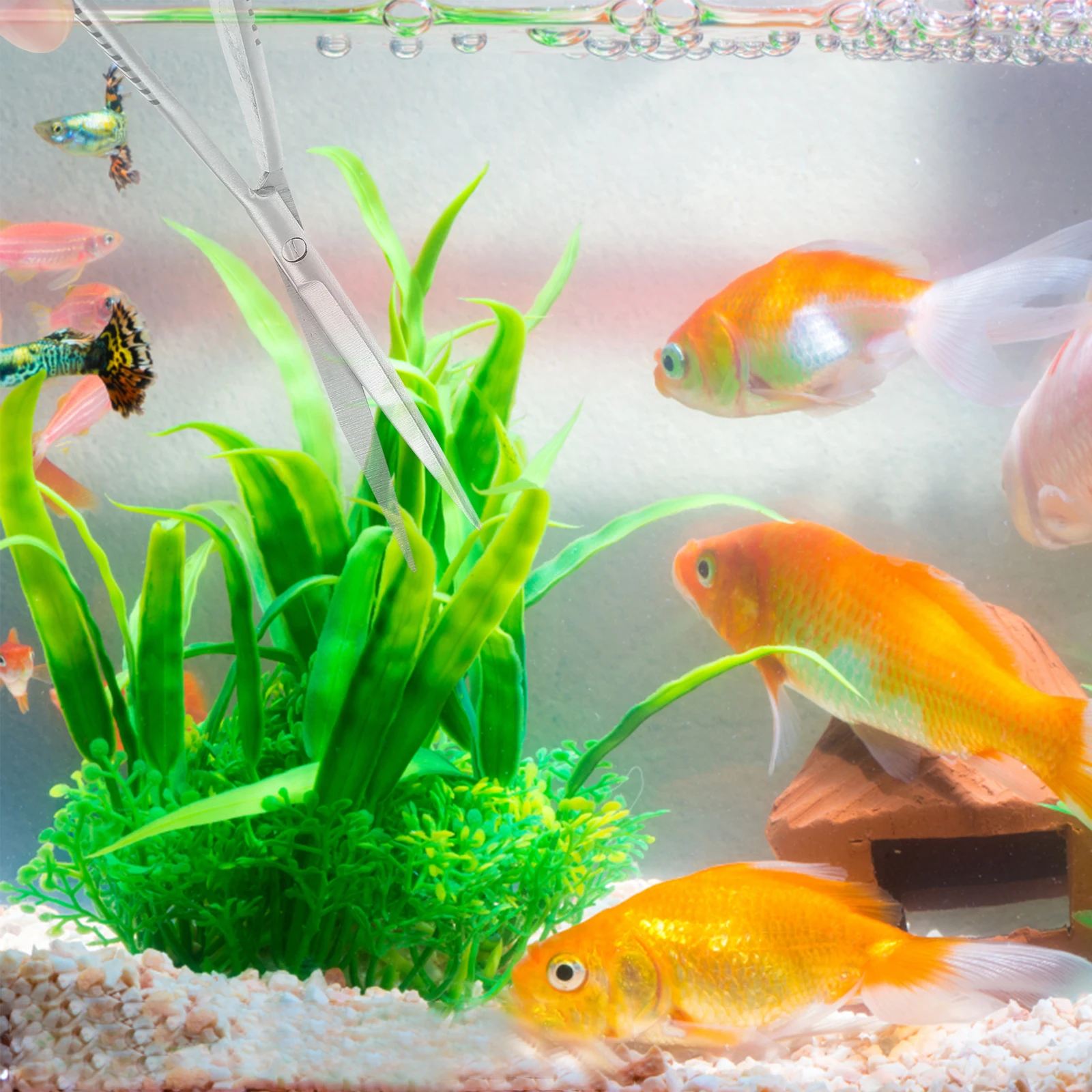 

Spring Scissors Stainless Steel Wear Resistant Rust Proof Aquarium Fish Tank Cleaning Tool Easy to Use Portable for Trimming