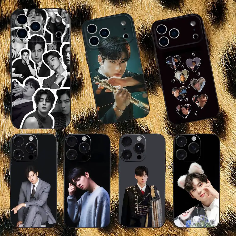 

Cha E-EunWoo Phone Case For iPhone 17,16,15,14,13,12,11,Pro,XS,Max,XR,Plus,E,SE4,Mini Black Soft Cover