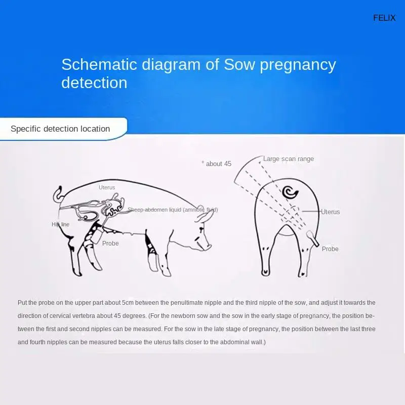 Veterinär B-Ultraschall gerät Sau Schwangerschaft tester Schwein Schaf Katze Hund Schwangerschaft stest tragbare Haustier Schwangerschaft tester s1