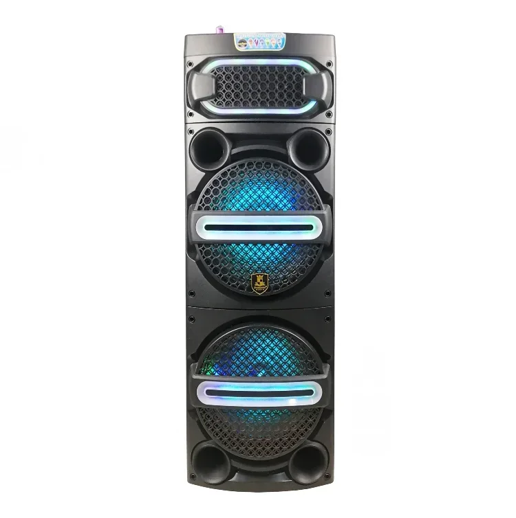 Dual 12 inch outdoor sub woofer powerful professional audio dj speaker box pa systems speaker