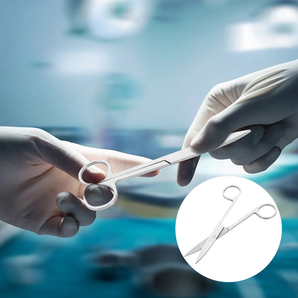

2Pcs Nickel Plating Surgery Scissors Simple Design Durable Animal Experiment Anatomical Tool Laboratory Scissors
