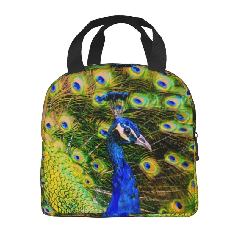 Peacock Insulated Lunch Bag for Women Resuable Feather Animal Cute And Beautiful Cooler Thermal Lunch Box Beach Camping Travel