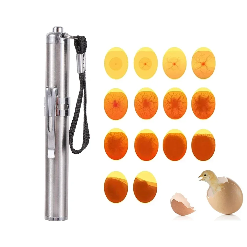 

LCold Light ivestock Incubator Light Inspection Stainless Steel Flashlight LED Egg Detector Hatching Equipment Chicken Tools