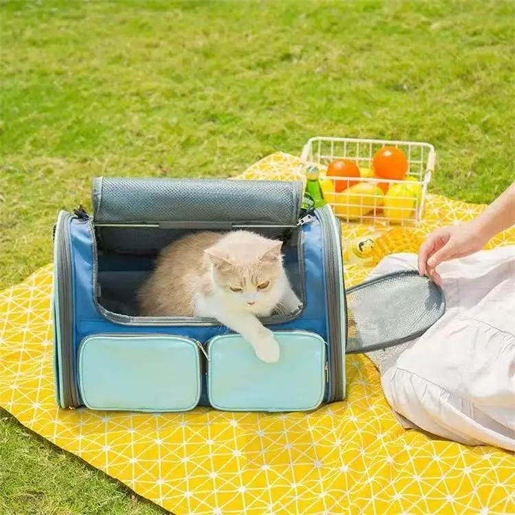 Portable Foldable Pet Carrier for Car and Hand, Compact Travel Bag for Small Dogs and Cats