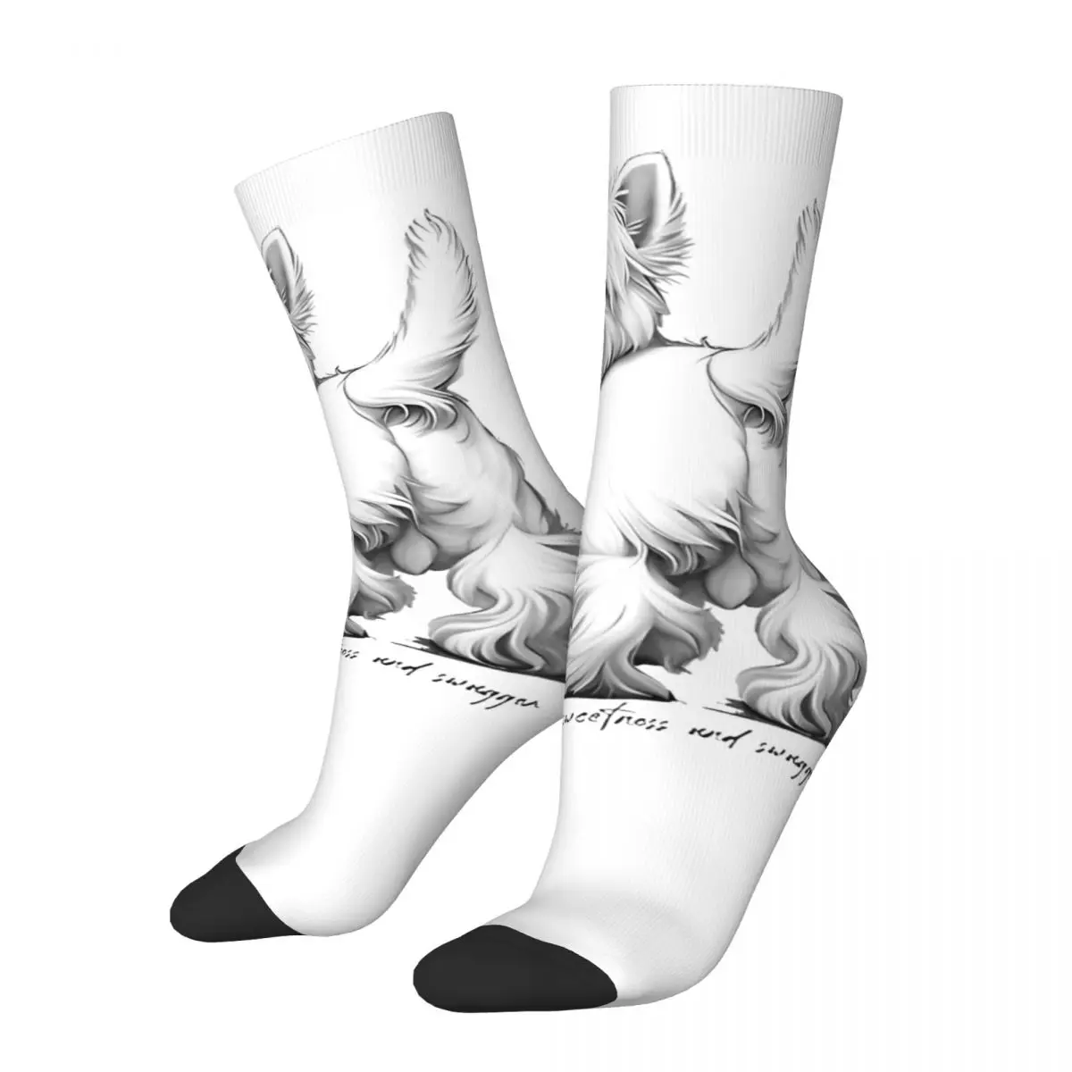 Unisex Men Socks Westie West Highland White Terrier Dog Stockings Autumn Kawaii Soft Breathable Socks Design Cycling Anti Socks