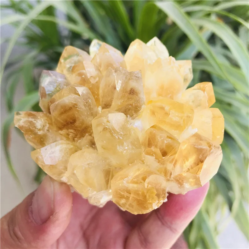 200-300g Natural Raw Citrine Quartz Stone Crystal Cluster Healing Yellow Stones Mineral Specimen Home Decoration