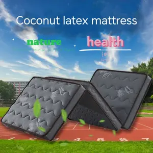 Japanese Floor Mattress Thick Tatami Portable Coconut Mattress Simple Topper Beds Furniture Sleeping Pad Folding Bed