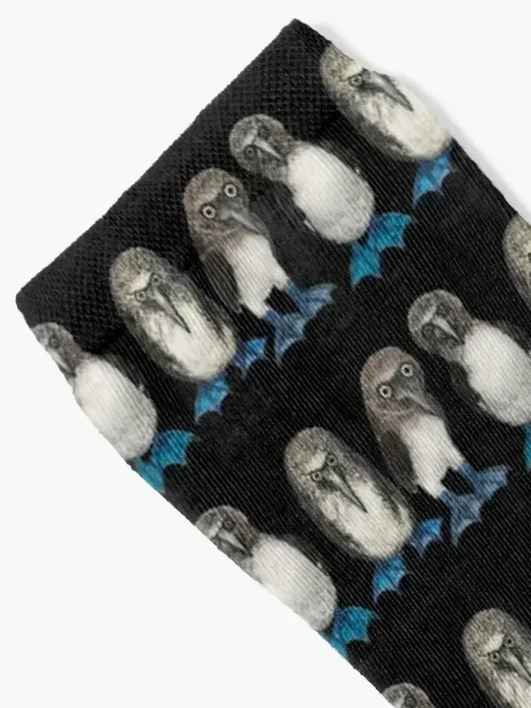 Bobby, Angry Bob the 3rd and Curious Bill the trio of Blue Footed Boobies on Blue Socks anime Socks Female Men's