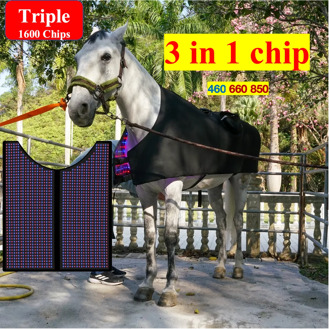 AQSHE Horse1600 Chips Leds Equine 460 660nm 850nm  Red Light Therapy Blanket Blue&Red&NIR Pad Mat Back For Full Body