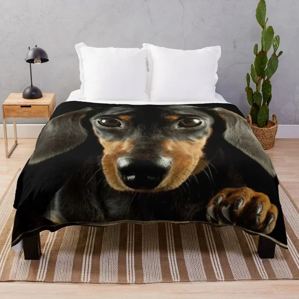 

Dachshund Dog photo portrait Throw Blanket Camping Picnic Extra Large Throw Blankets For Bed Blankets