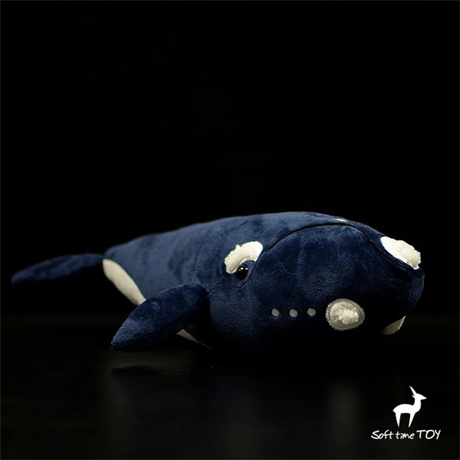 

Black Right Whale High Fidelity Anime Plushie Humpback Bowhead Whale Plush Toys Lifelike Animals Simulation Stuffed Kawai Doll